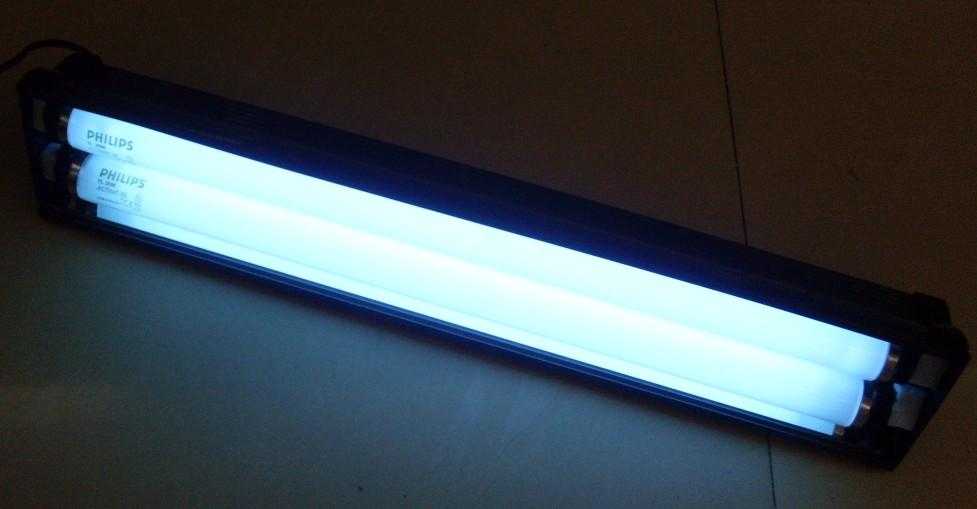 紫外线为什么会加速衰老?紫外线为什么会让皮肤变黑 紫外线为什么会加速衰老?紫外线为什么会让皮肤变黑