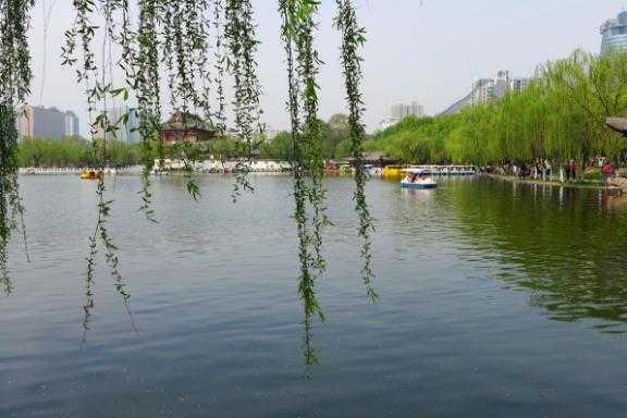 春游的好处有哪些？春季旅游要自备哪些急救药