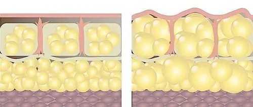 1718529358355157.jpg u=1358966113,1161737012&fm=253&fmt=auto&app=138&f=JPEG.webp.jpg