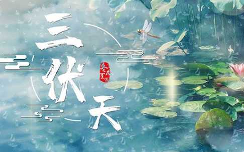 2024三伏天从什么时候开始至结束3