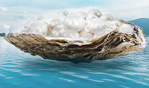 珍珠膏和珍珠霜哪个好用？两者都有什么区别