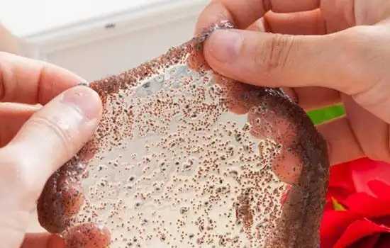 颗粒海藻面膜会不会过期?过期的海藻面膜有什么妙用 颗粒海藻面膜会不会过期?过期的海藻面膜有什么妙用