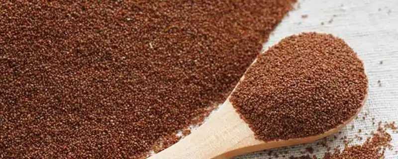 颗粒海藻面膜会不会过期?过期的海藻面膜有什么妙用 颗粒海藻面膜会不会过期?过期的海藻面膜有什么妙用