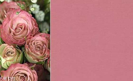 豆沙色腮红适合黄皮吗? 豆沙色腮红适合黄皮吗?