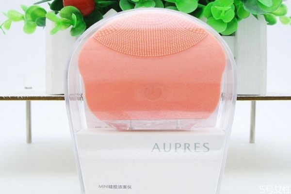 洗脸仪有黑点怎么清洗?洗脸仪发霉怎么清洗 洗脸仪有黑点怎么清洗?洗脸仪发霉怎么清洗