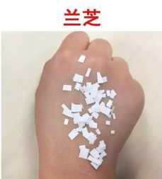 /兰芝隔离粘稠度