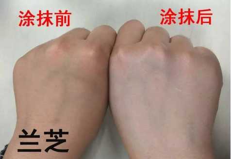 /兰芝隔离遮瑕程度