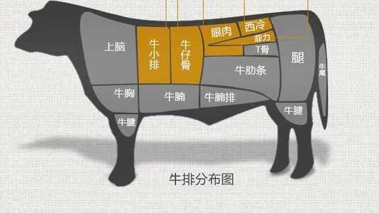 牛小排是牛的哪个部位 牛小排是牛的哪个部位