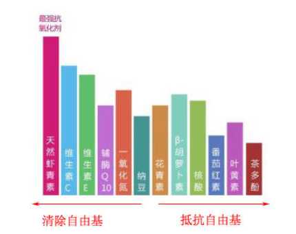 油性皮肤怎么抗氧化