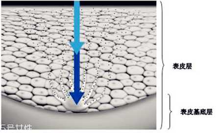 干性皮肤怎么去斑最好 干性皮肤怎么去斑最好