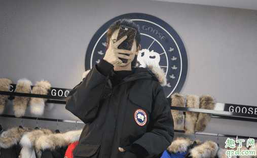 大鹅的面料是硬的还是软的?加拿大鹅为什么钻绒 大鹅的面料是硬的还是软的?加拿大鹅为什么钻绒