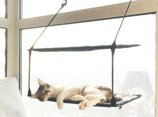 晚上睡不着白天也不想睡是怎么回事?经常早醒怎么调理? 晚上睡不着白天也不想睡是怎么回事?经常早醒怎么调理?