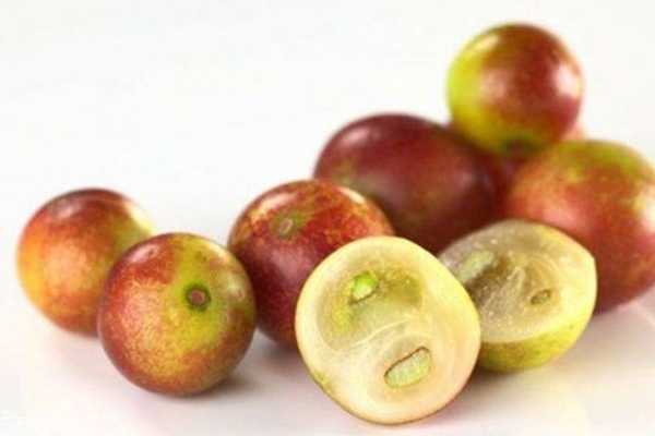 吃什么食物抗氧化