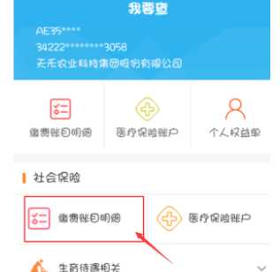 支付宝怎么查询养老保险缴费记录 支付宝怎么查询养老保险缴费记录