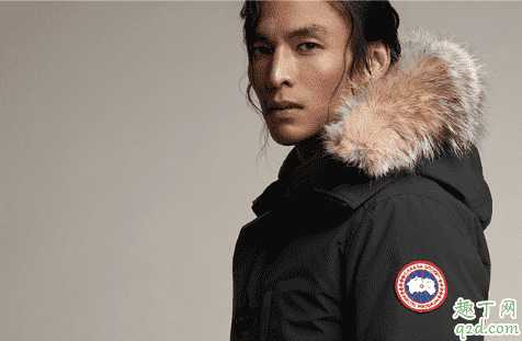 加拿大鹅有几种标识?加拿大鹅黑标和普标的区别 加拿大鹅有几种标识?加拿大鹅黑标和普标的区别