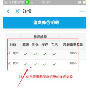支付宝怎么查询养老保险缴费记录 支付宝怎么查询养老保险缴费记录