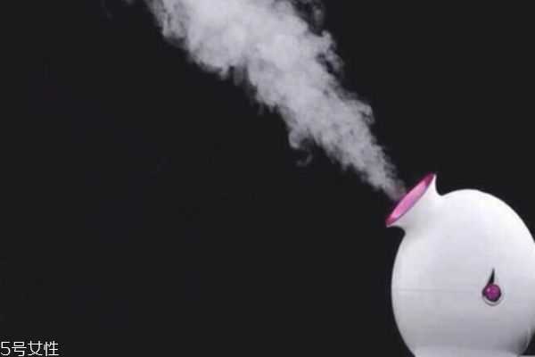 蒸脸器可以加牛奶吗