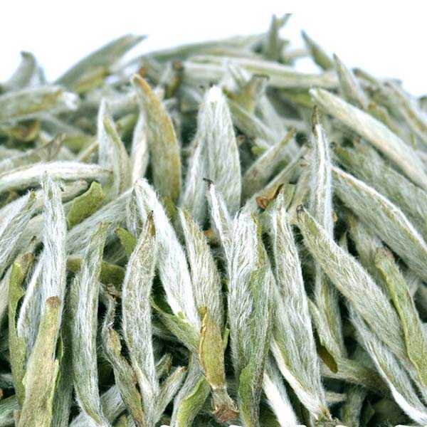 白茶最出名的是哪几种