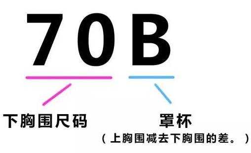 罩杯abcd怎么分大小 罩杯abcd怎么分大小