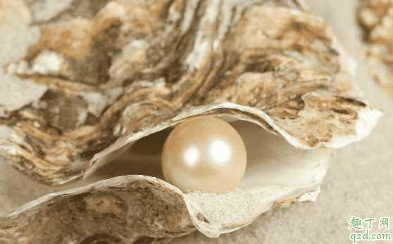 珍珠变黄了是什么原因?珍珠发黄变暗该怎么办 珍珠变黄了是什么原因?珍珠发黄变暗该怎么办