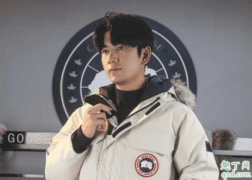 大鹅的面料是硬的还是软的?加拿大鹅为什么钻绒 大鹅的面料是硬的还是软的?加拿大鹅为什么钻绒