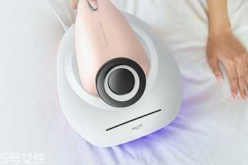 除螨仪能除跳蚤吗 除螨仪能除跳蚤吗