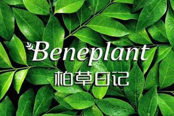 柏草日记怎么样?柏草日记属于几线品牌 柏草日记怎么样?柏草日记属于几线品牌