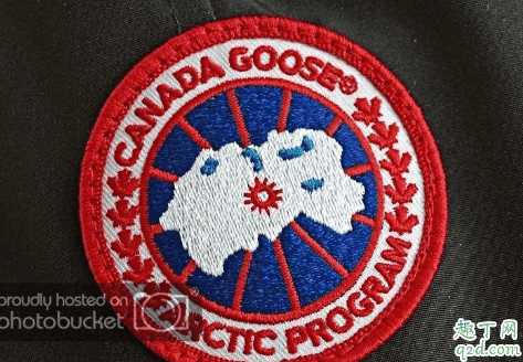 加拿大鹅有几种标识?加拿大鹅黑标和普标的区别 加拿大鹅有几种标识?加拿大鹅黑标和普标的区别