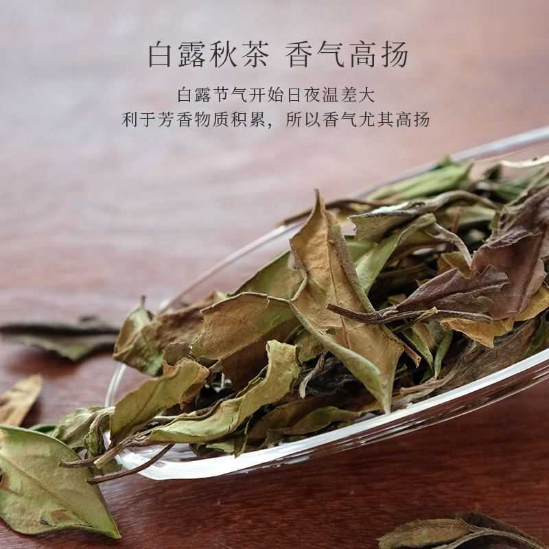 白茶最出名的是哪几种