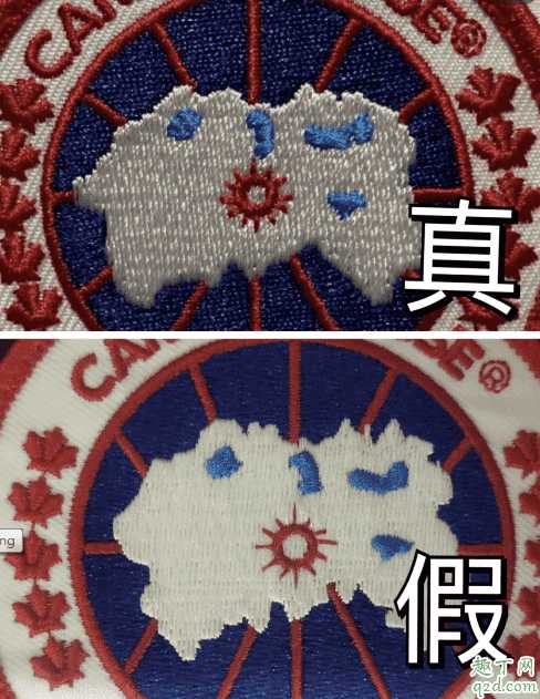 加拿大鹅正品和仿品区别2020 加拿大鹅真假对比图及鉴别技巧5