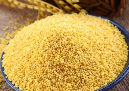 十大最健康的主食品种，燕麦降脂调节血糖、紫米补气暖脾胃