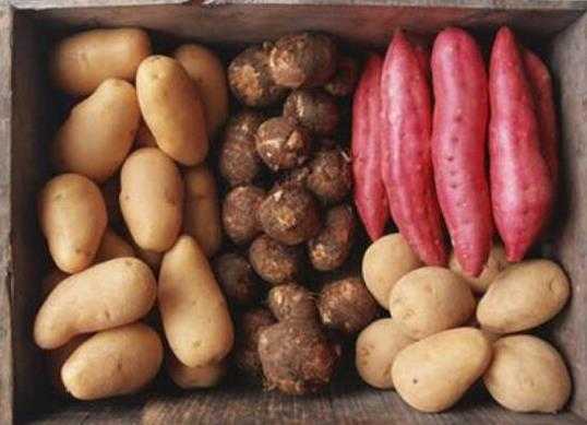 十大最健康的主食品种，燕麦降脂调节血糖、紫米补气暖脾胃