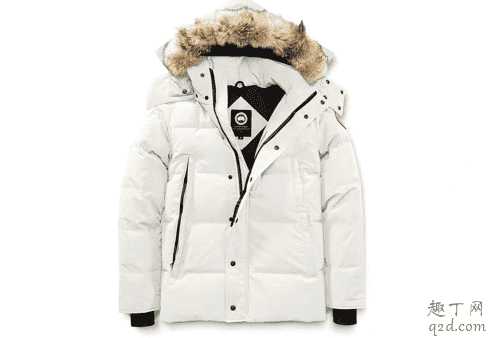 加拿大鹅正品和仿品区别2020 加拿大鹅真假对比图及鉴别技巧1