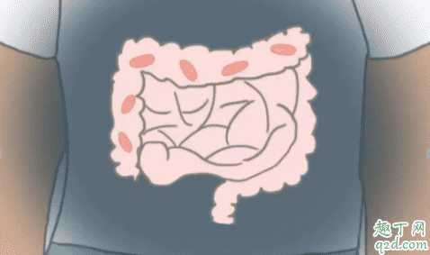 肚子胀气怎么快速排气?排肚子里的气最快方法