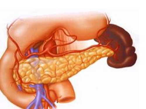 胰腺炎不能吃什么?胰腺炎的饮食禁忌 胰腺炎不能吃什么?胰腺炎的饮食禁忌