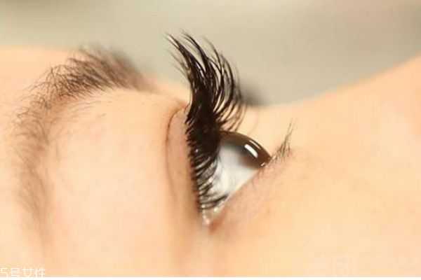刷睫毛有哪些技巧？刷睫毛的注意事项