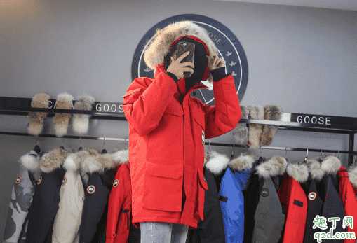 大鹅的面料是硬的还是软的?加拿大鹅为什么钻绒 大鹅的面料是硬的还是软的?加拿大鹅为什么钻绒