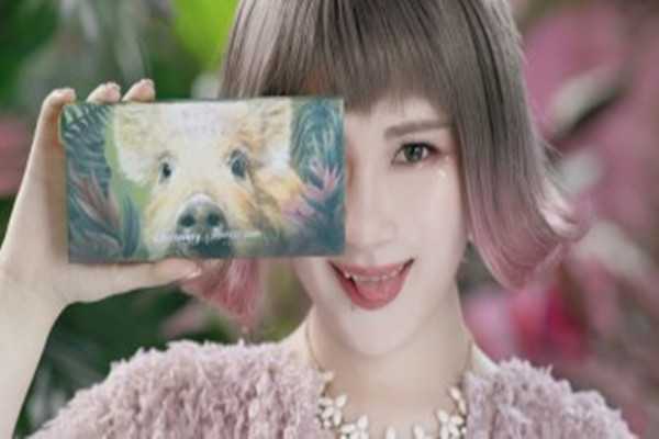 完美日记小猪眼影盘好看吗？完美日记小猪眼影盘怎么样