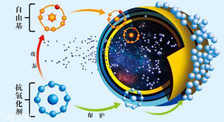 油性皮肤怎么抗氧化