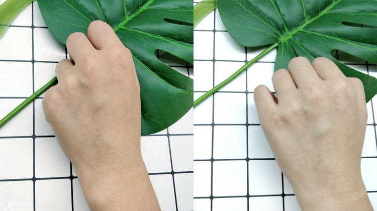 佰草集大白泥好用吗 海蓝之谜美白面膜的平价替代