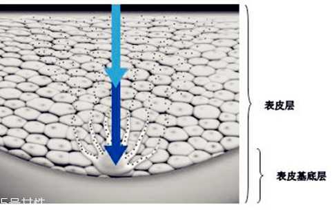油性皮肤怎么去痘印最快