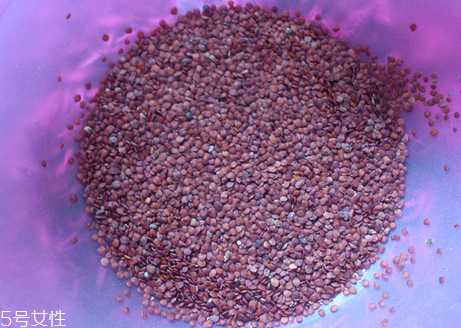 海藻面膜的功效与作用 用海藻面膜有什么好处? 海藻面膜的功效与作用 用海藻面膜有什么好处?