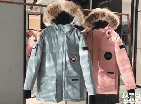加拿大鹅正品和仿品区别2020 加拿大鹅真假对比图及鉴别技巧7