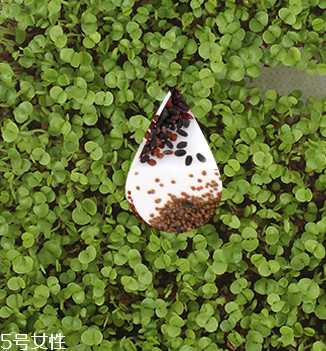 海藻面膜会过期吗？海藻面膜有保质期吗？