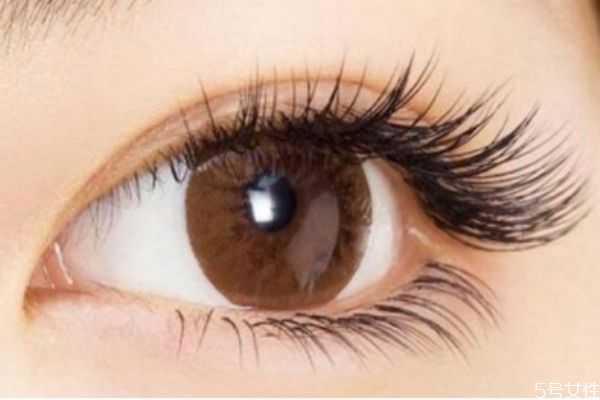 假睫毛会不会导致眼皮松？假睫毛贴久了眼皮会松吗
