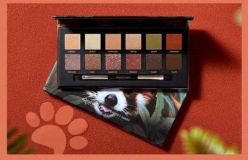 完美日记小狗眼影盘有几种颜色? 完美日记小狗眼影盘有几种颜色?