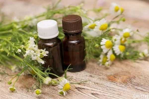 洋甘菊纯露对痘痘有好处吗?洋甘菊纯露有消炎的作用吗 洋甘菊纯露对痘痘有好处吗?洋甘菊纯露有消炎的作用吗