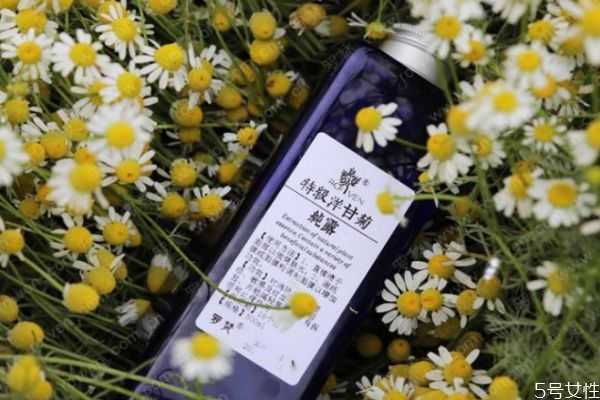 洋甘菊纯露对痘痘有好处吗?洋甘菊纯露有消炎的作用吗 洋甘菊纯露对痘痘有好处吗?洋甘菊纯露有消炎的作用吗