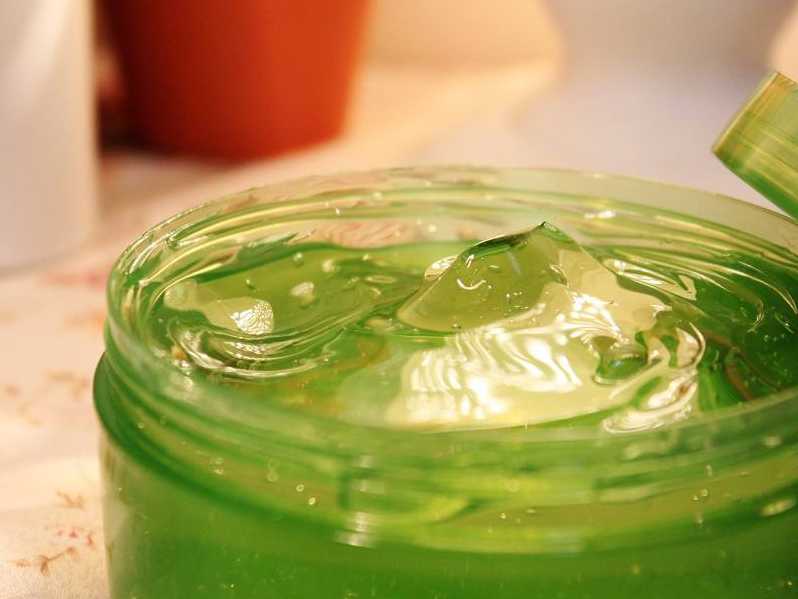 涂了芦荟胶能晒太阳吗?晒伤用芦荟胶真的有用吗 涂了芦荟胶能晒太阳吗?晒伤用芦荟胶真的有用吗