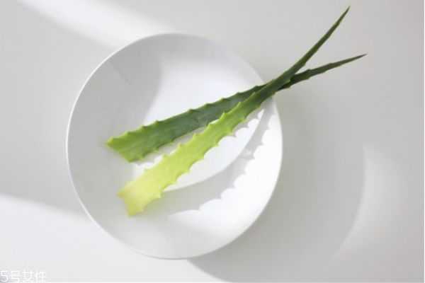 芦荟擦脸多久后要洗掉